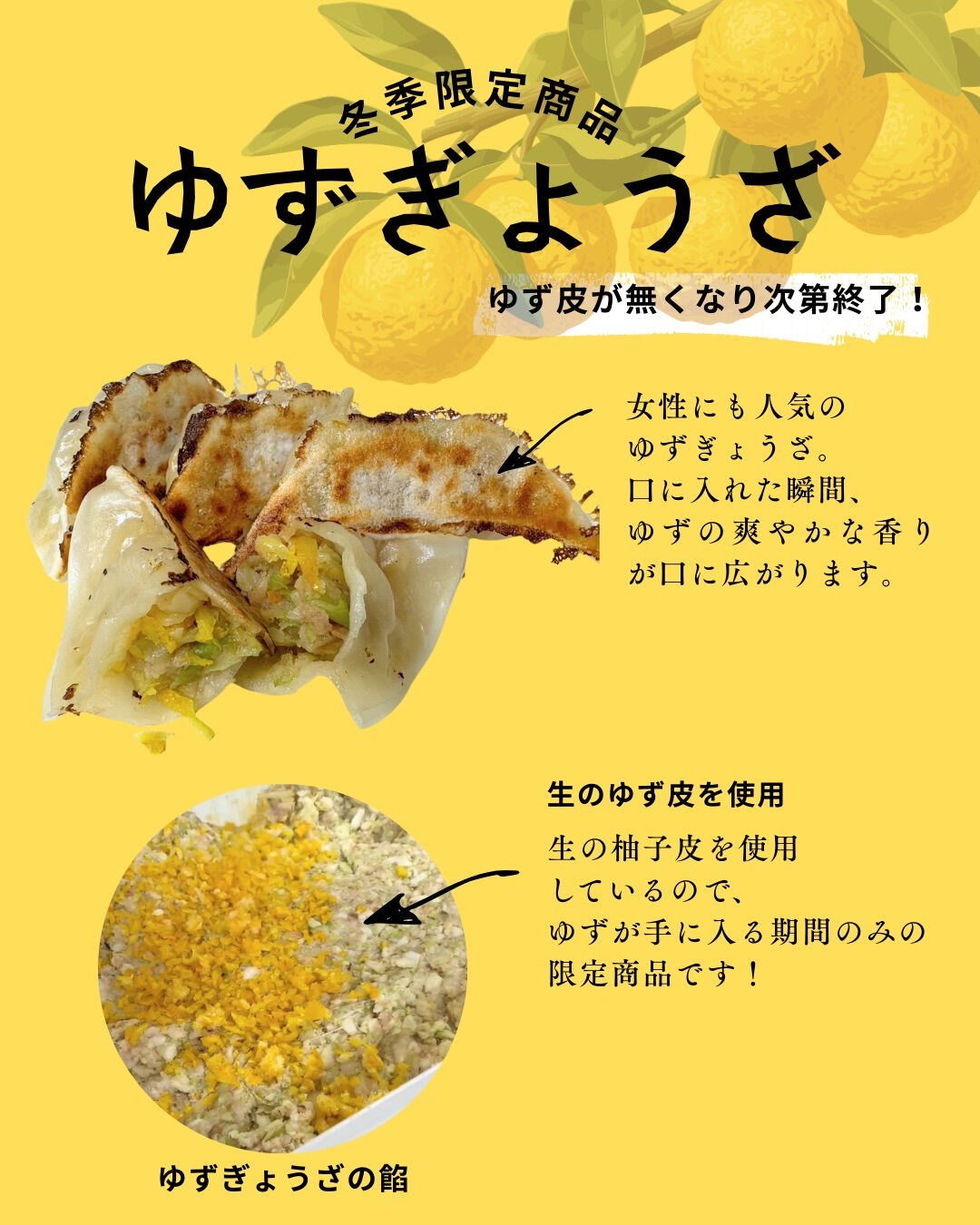 ＼香りがふわっと広がるゆず餃子／