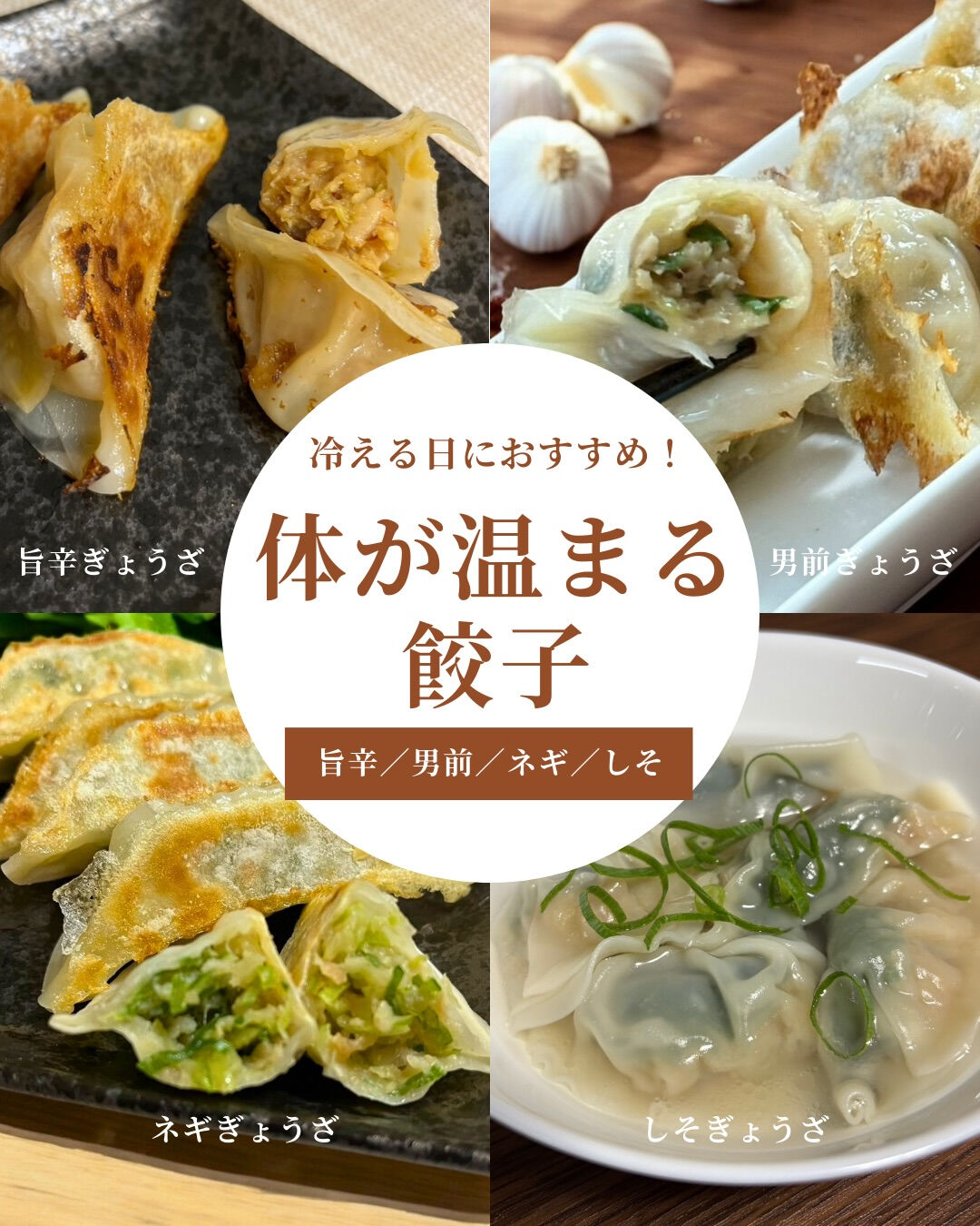 ＼大垣ぎょうざ新家の“温活餃子”4選／