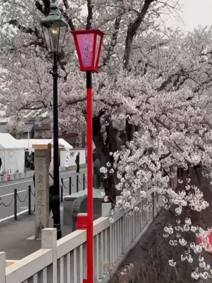【イベント】