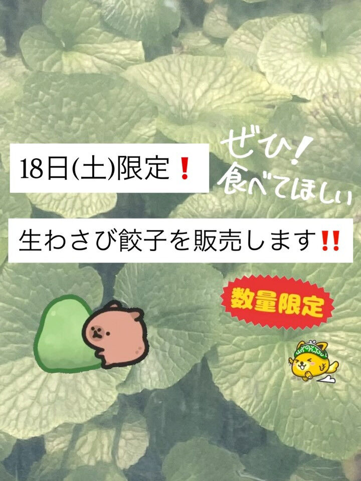 【告知】