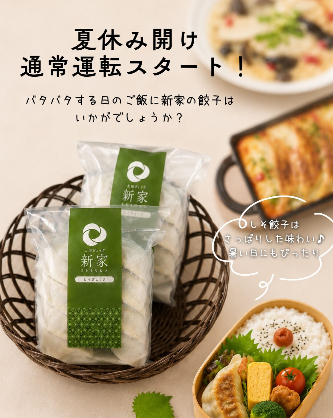 夏休みも終わって、通常運転スタート！🌿