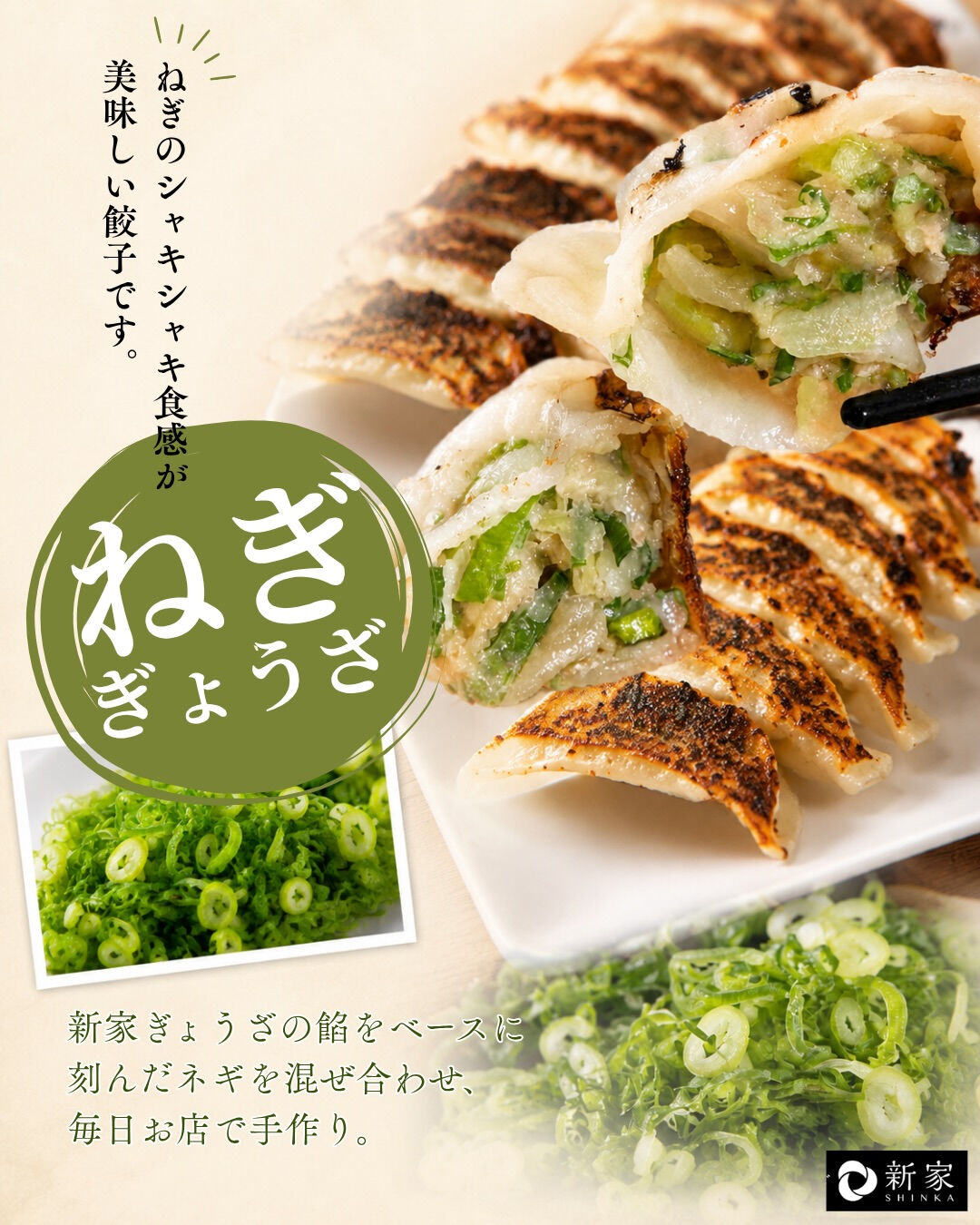 🌿ねぎのシャキシャキ食感が美味しい「ねぎぎょうざ」🥟