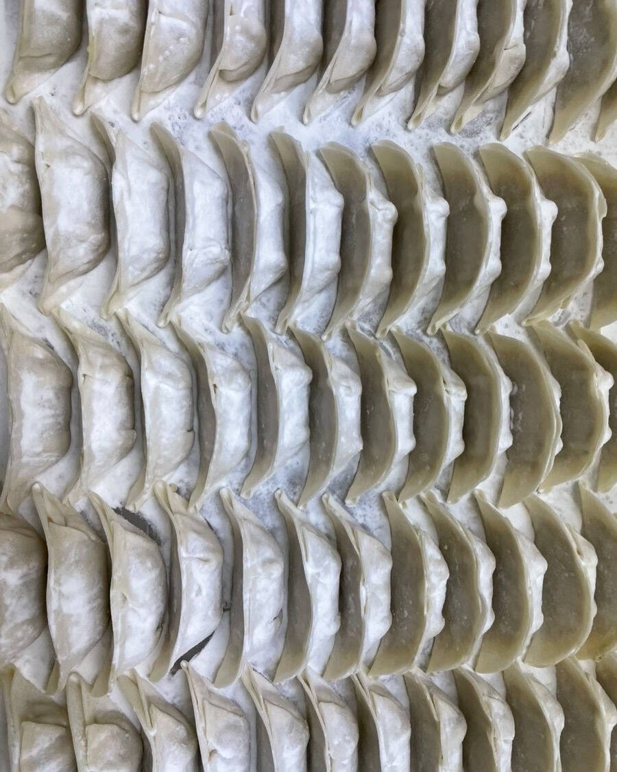 🍂 食欲の秋に、おすすめの新家ぎょうざ🥟