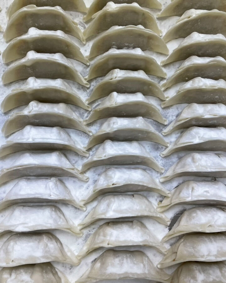 🍂 食欲の秋に、おすすめの新家ぎょうざ🥟