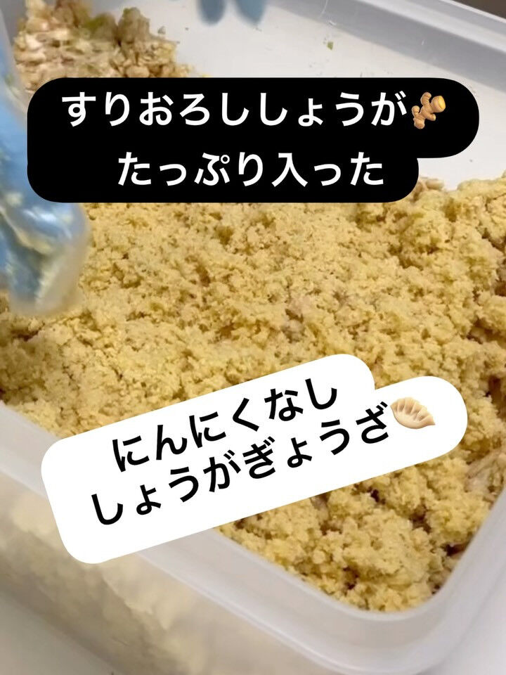 にんにくなし