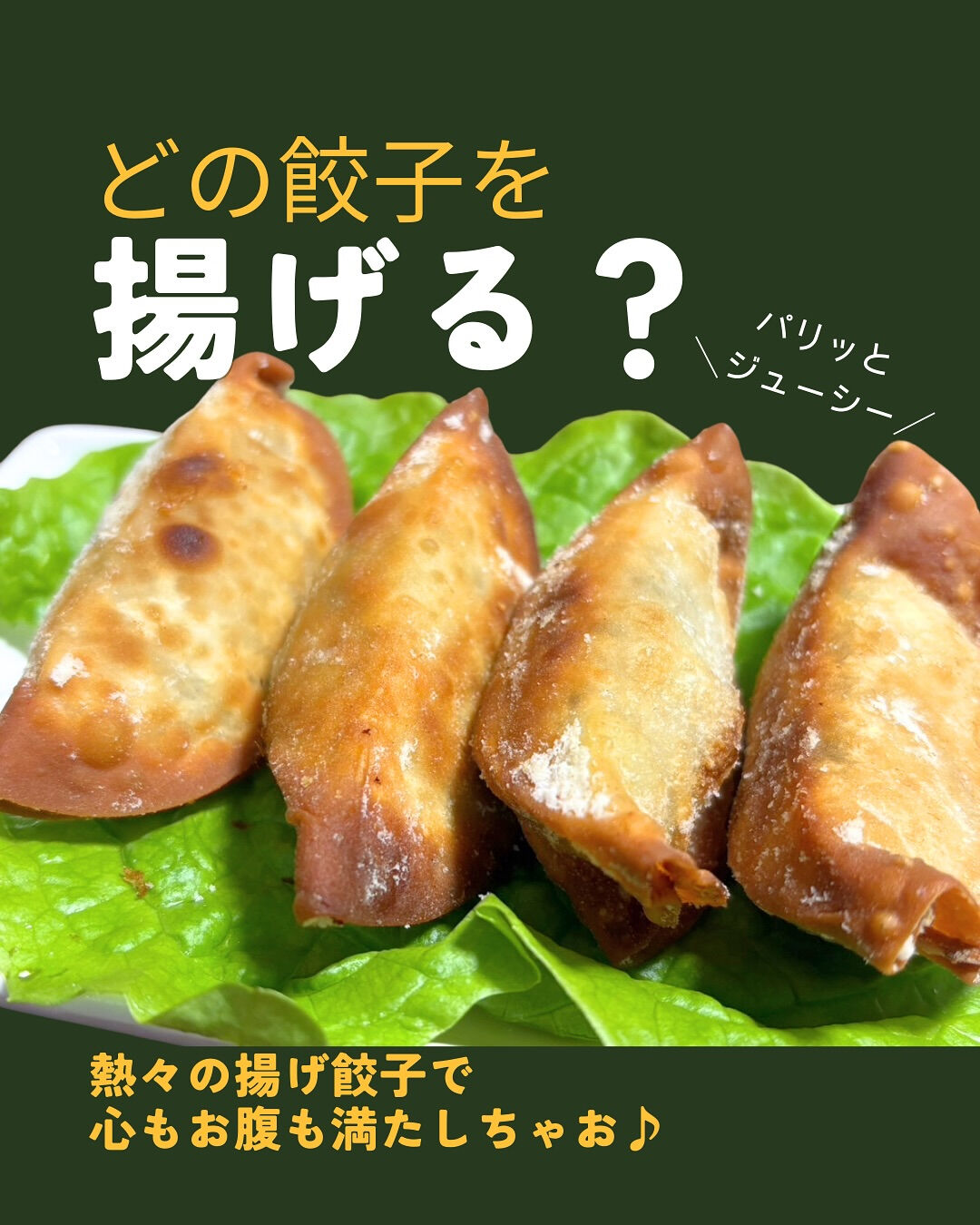 食欲の秋におすすめなのが、カリッと香ばしい 揚げ餃子