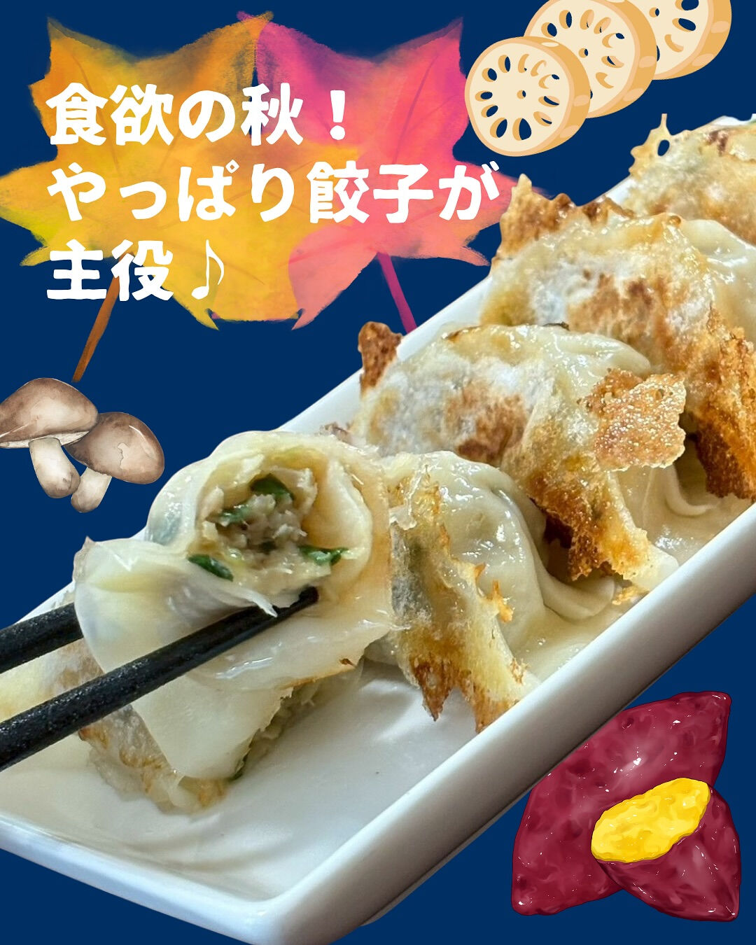 食欲の秋、やっぱり餃子が主役🥟